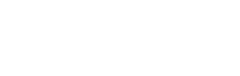 Profix Logo
